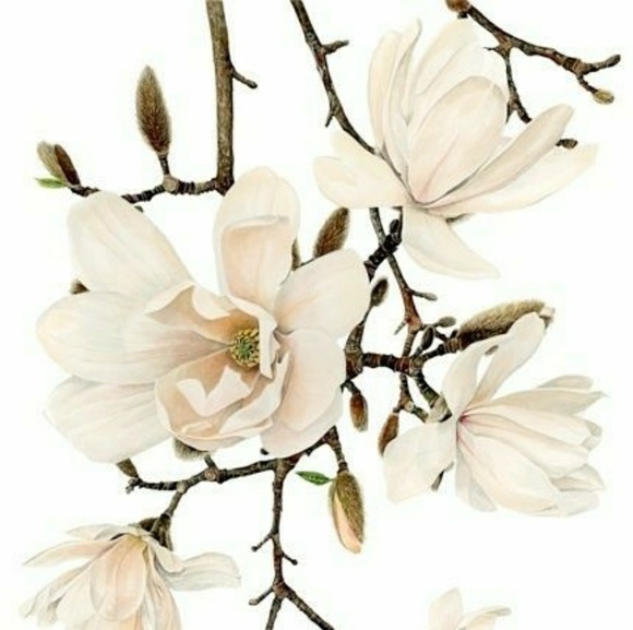 Meet your Posher, Yelena - Picture 1 of 1